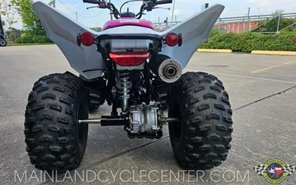 2023 Honda TRX250X