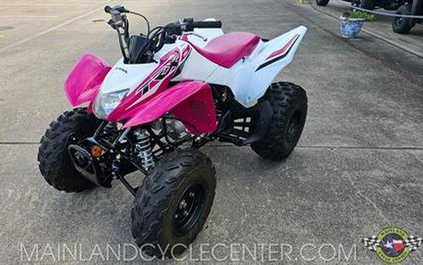 2023 Honda TRX250X