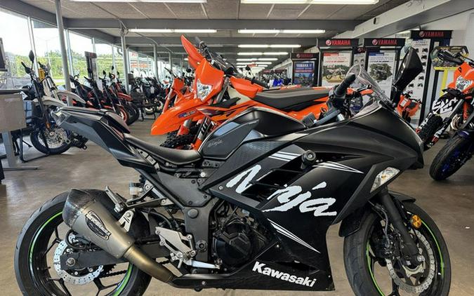 2017 Kawasaki Ninja 300 ABS Winter Test Edition
