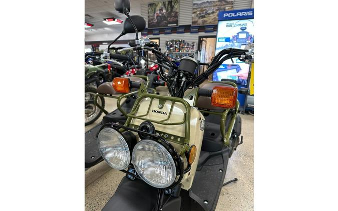 2024 Honda RUCKUS