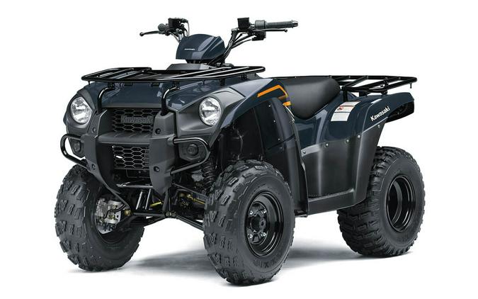 2024 Kawasaki Brute Force® 300