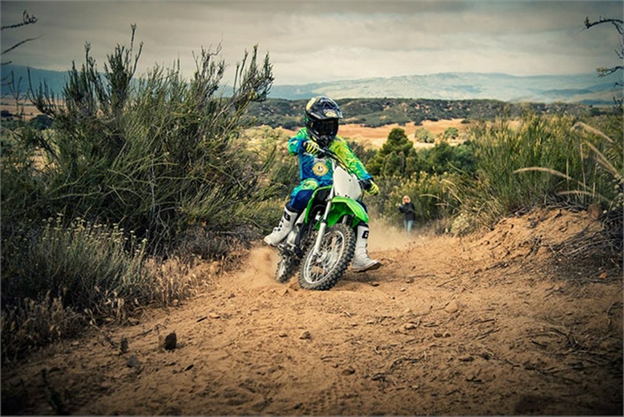 2019 Kawasaki KLX® 110