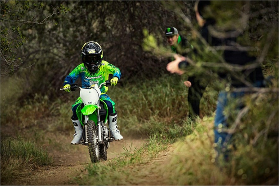 2019 Kawasaki KLX® 110