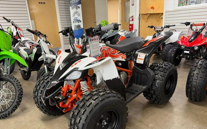 2025 Predator 125 - Kayo