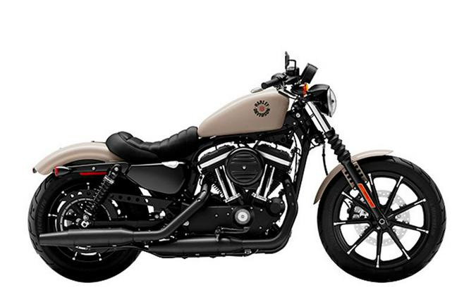 2022 Harley-Davidson® XL883N - Iron 883™