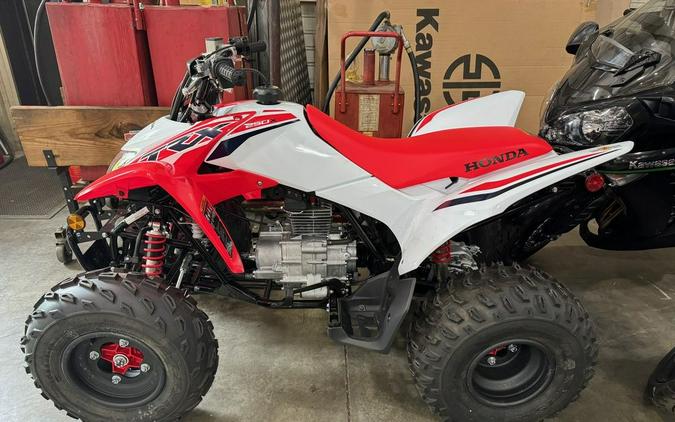 2024 Honda® TRX250X