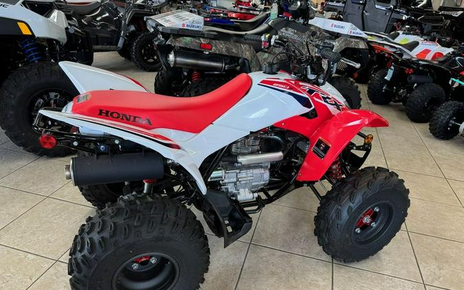 2024 Honda® TRX250X