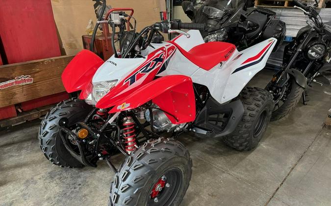 2024 Honda® TRX250X