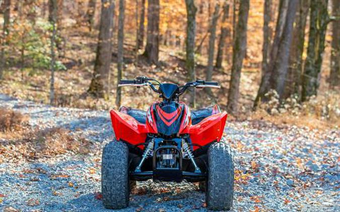 2024 Honda TRX90X