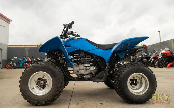 2020 Honda® TRX250X