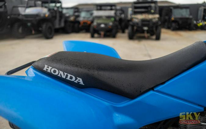 2020 Honda® TRX250X