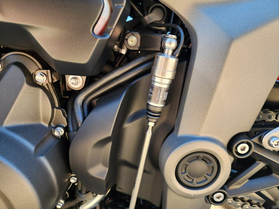 2026 Triumph Daytona 660