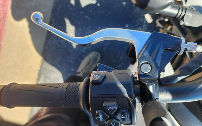 2026 Triumph Trident 800