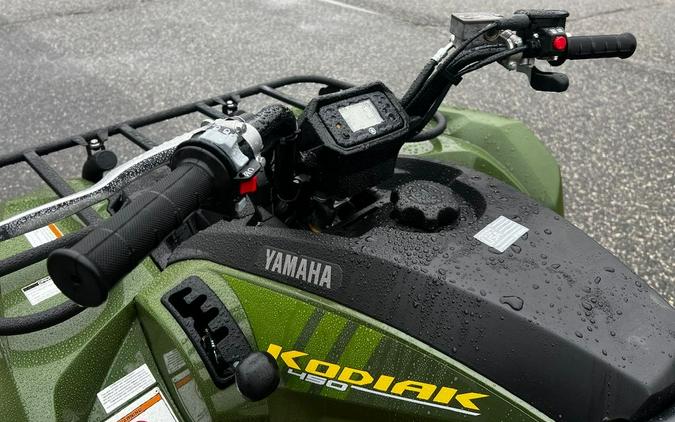 2024 Yamaha Kodiak 450