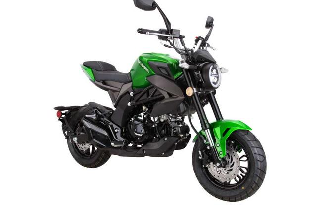 2022 Wolf Brand Scooters STRIKER