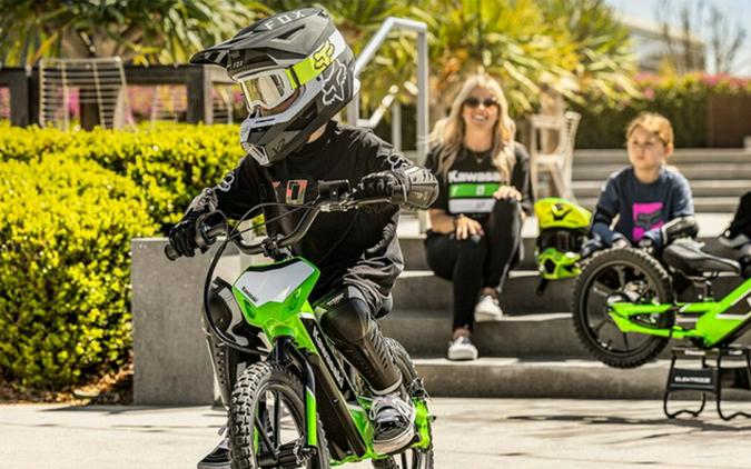2023 Kawasaki Elektrode