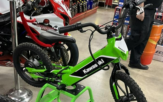 2023 Kawasaki Elektrode