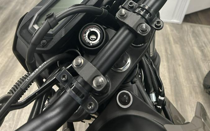 2026 Kawasaki KLX® 230 DF ABS