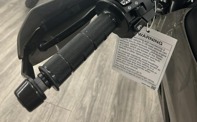 2026 Kawasaki KLX® 230 DF ABS