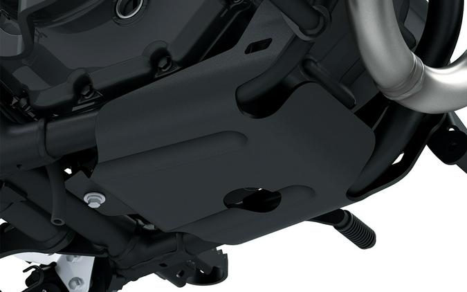 2026 Kawasaki KLX® 230 DF ABS