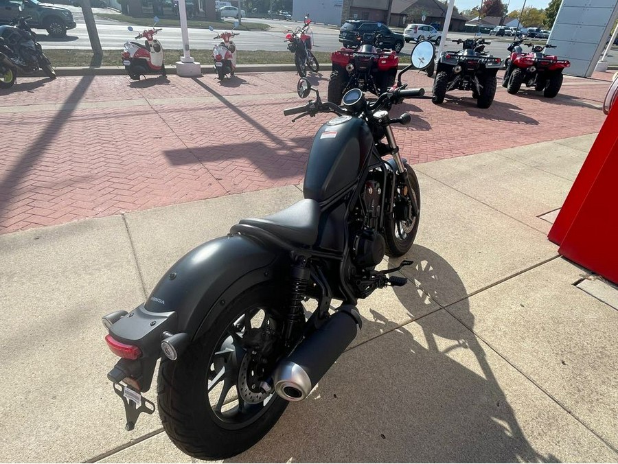 2025 Rebel 500 - Honda
