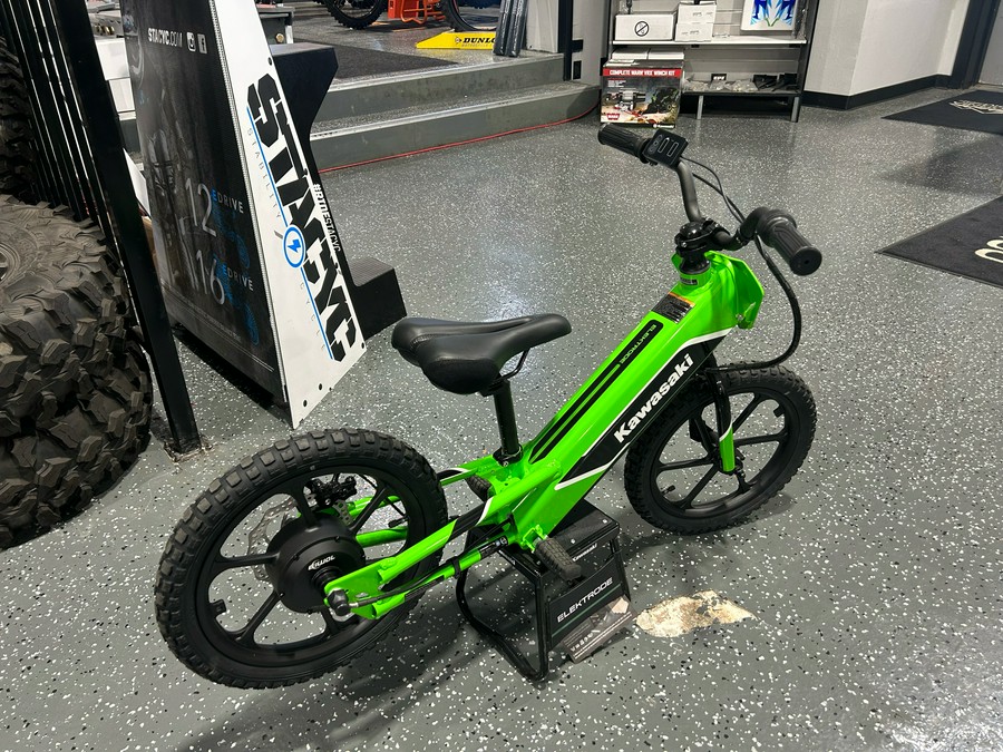 2023 Kawasaki Elektrode