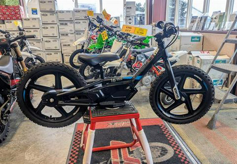 2025 Stacyc 16 EDRIVE