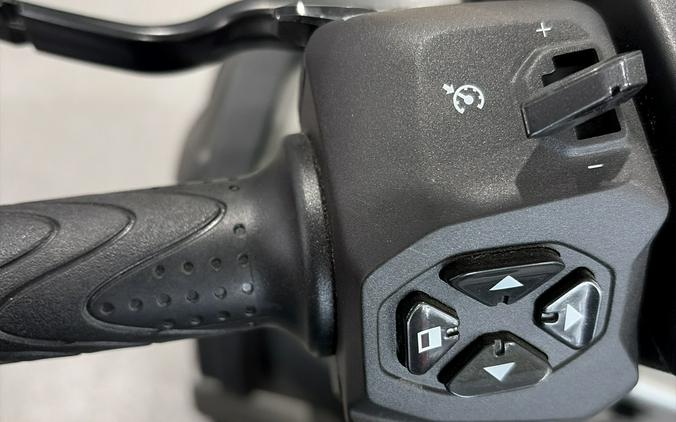 2024 Piaggio MP3 530