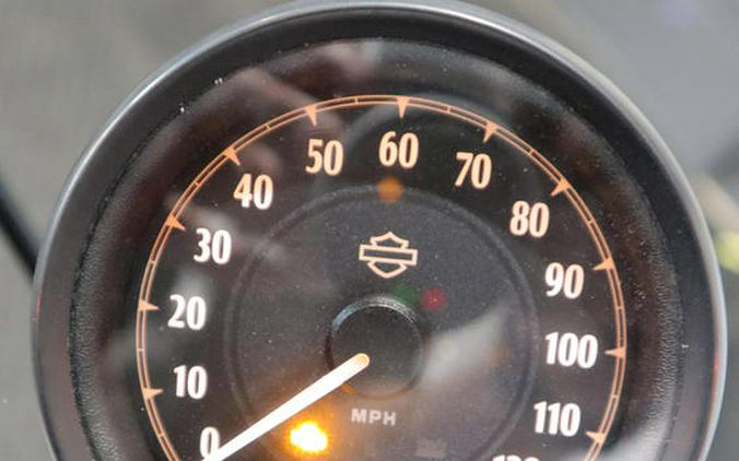 2021 Harley-Davidson® XL1200NS - Iron 1200™