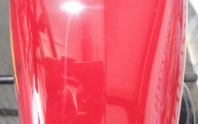 2021 Harley-Davidson® XL1200NS - Iron 1200™