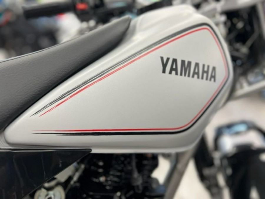 2024 Yamaha TW200