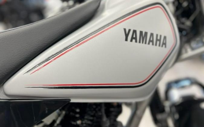 2024 Yamaha TW200