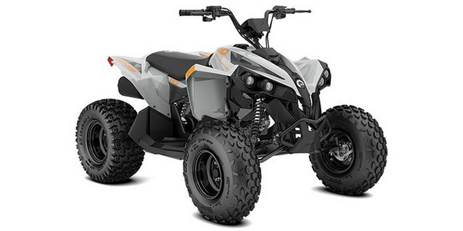 2027 Can-AM Renegade 110