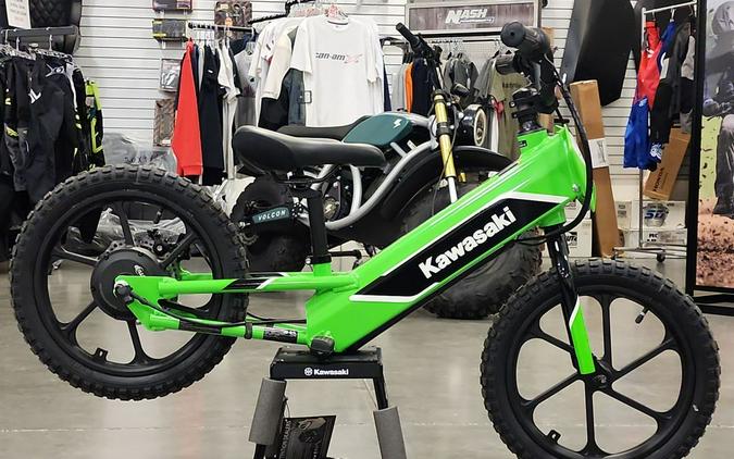 2023 Kawasaki Elektrode™