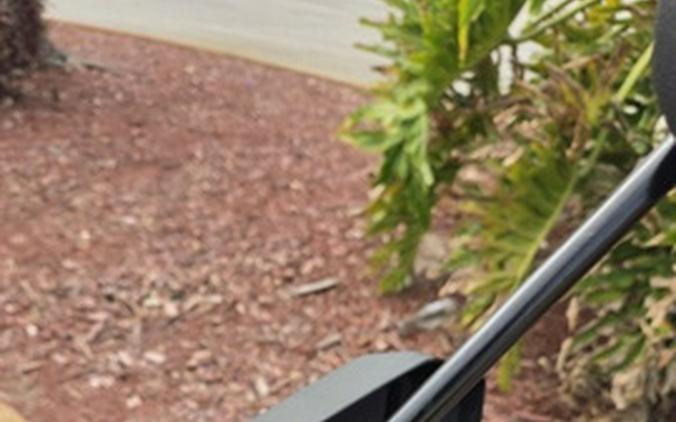 2025 Yamaha Zuma 125