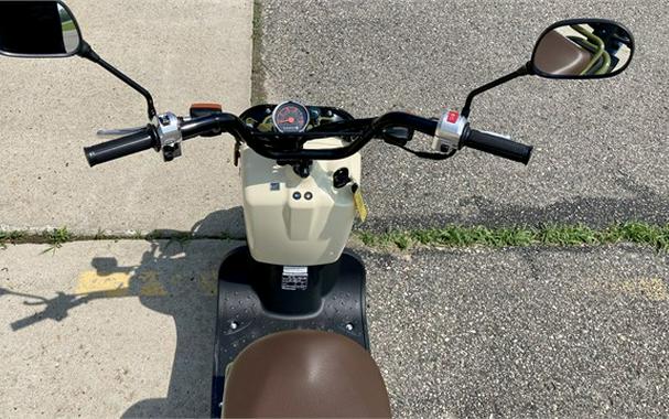 2024 Honda Ruckus