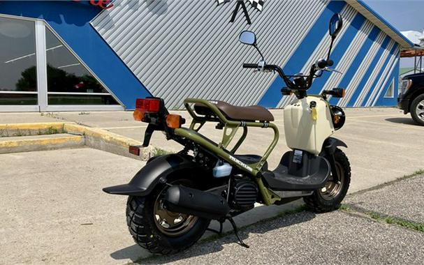 2024 Honda Ruckus