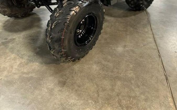 2024 Yamaha Grizzly 90