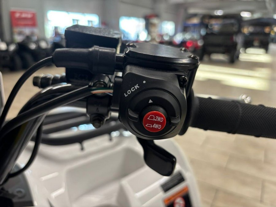 2025 Kawasaki Brute Force® 450 4x4