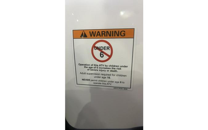 2026 Kawasaki KFX® 50