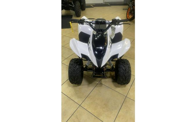 2026 Kawasaki KFX® 50