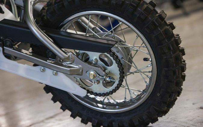 2026 Kawasaki KLX 110R L