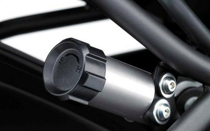 2015 Kawasaki Versys® 1000 LT