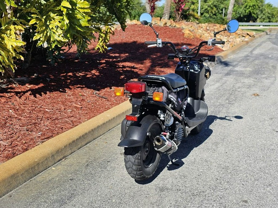 2019 Honda Ruckus