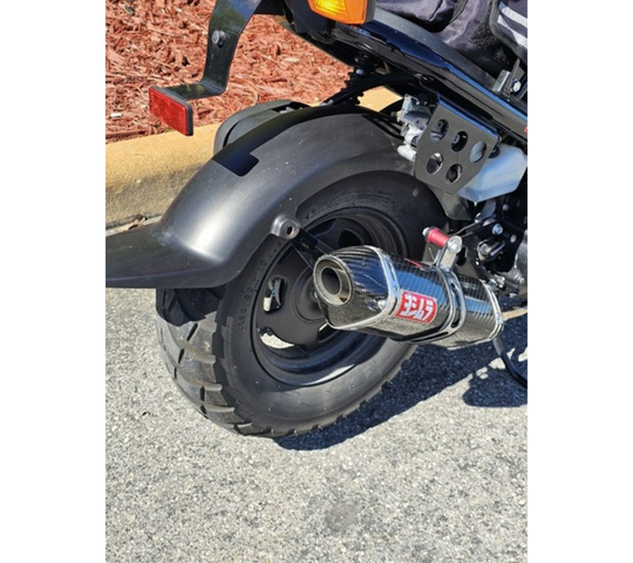 2019 Honda Ruckus