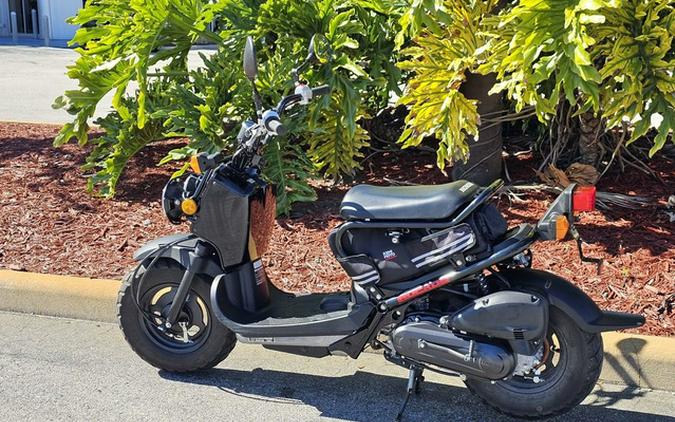 2019 Honda Ruckus