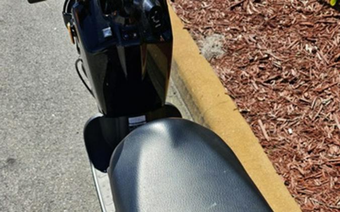 2019 Honda Ruckus