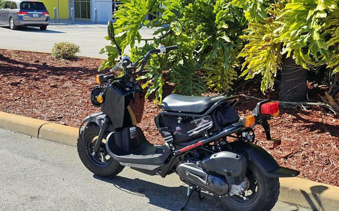 2019 Honda Ruckus