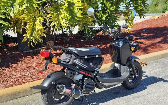 2019 Honda Ruckus