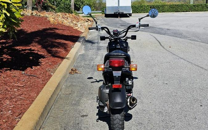 2019 Honda Ruckus